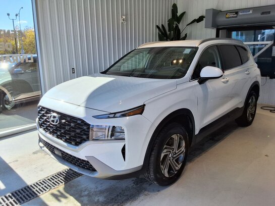 2021 Hyundai Santa Fe 2021 White 2021 Hyundai Santa Fe 2021 White